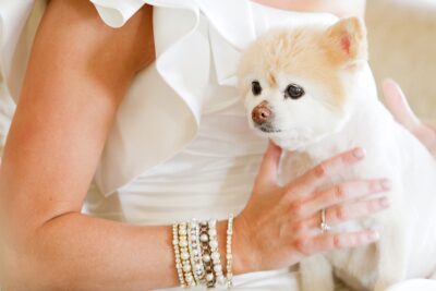Why Hire a Pet Sitter?
